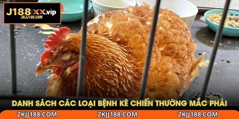 Danh sách các loại bệnh kê chiến thường mắc phải