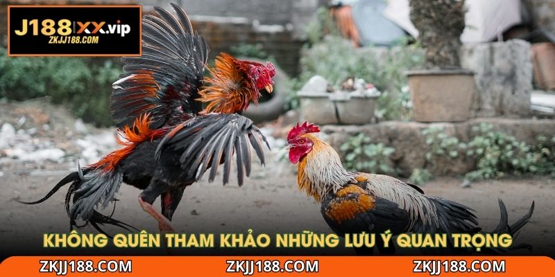 Không quên tham khảo những lưu ý quan trọng