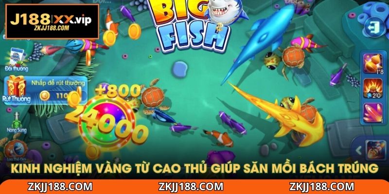 Kinh nghiệm vàng từ cao thủ giúp săn mồi bách trúng