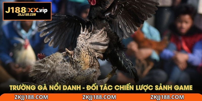 Trường gà nổi danh - Đối tác chiến lược sảnh game